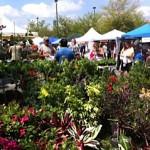 Green Market Shopping