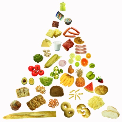 food pyramid