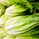 Romaine Lettuce Recall 2011