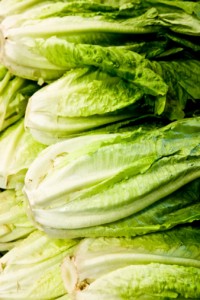 romaine lettuce