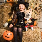 Halloween Safety Tips for Pets Halloween Safety Tips for Pets