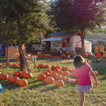 Pumpkin Patch Memories