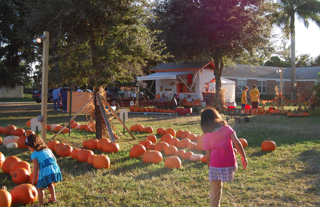 picking a pumpkin