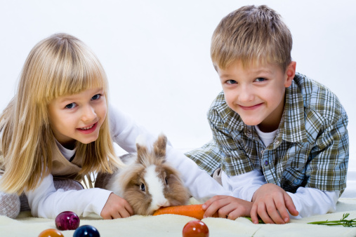 Children holding a bunny