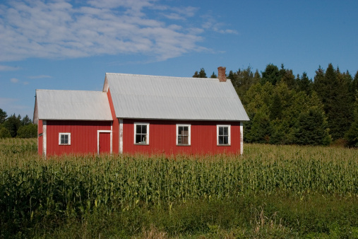 Red Barn