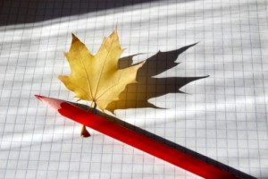 Leaf on graph paper