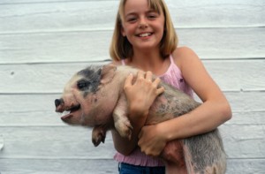 Girl holding a pig