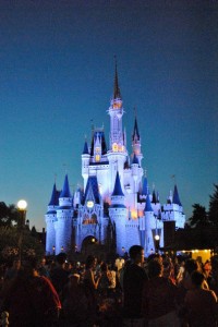 Magic kingdom castle