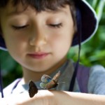 Today is Learn About Butterflies Day