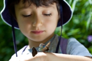 boy with butterflies on his arm