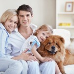 Is a Dog the Right Family Pet For You?