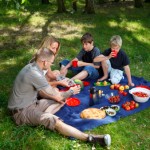 Picnic Food Safety Tips