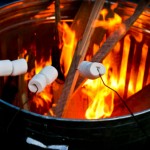 August 30 is National Toasted Marshmallow Day!
