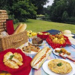 Picnic Food Safety: Avoiding Food Poisoning