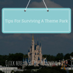 Tips For Surviving A Theme Park